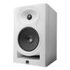 Loa kiểm âm Kali Audio LP-6 6.5 (Loa đơn)