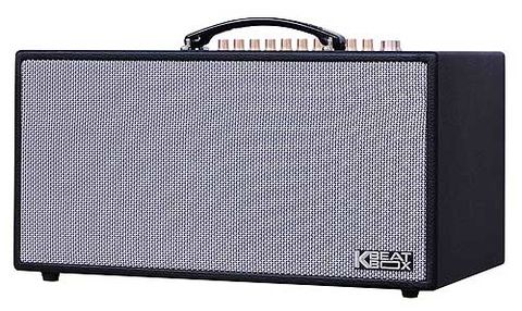 Loa Karaoke Xách Tay Acnos CS450 ALPHA