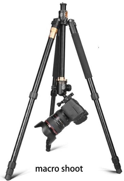 Chân máy ảnh Tripod Beike Q999H bản trục đứng vuông góc