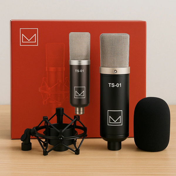 Micro thu âm TOP SOUND TS01 - Microphone thu âm livestream TS-01