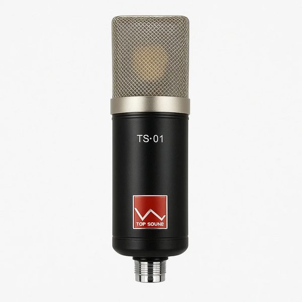 Micro thu âm TOP SOUND TS01 - Microphone thu âm livestream TS-01