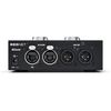 Focusrite RedNet AM2 Dante Stereo Output Device