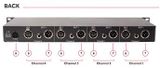 Black Lion Audio AuteurQuad 4 - Tiền Khuếch Đại