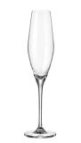 Set 6 ly champagne Loxia 210ml Crystal Bohemia 