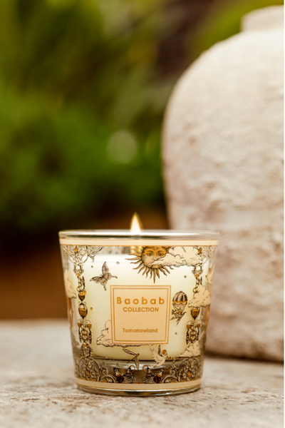  Nến thơm Max 08 My First Baobab Tomorrowland 2025 Baobab Collection 