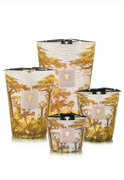  Nến thơm Max 10 Sacred Trees Bounkani Baobab Collection 
