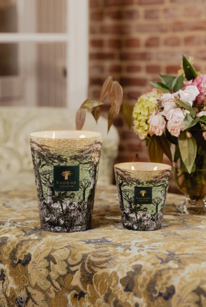  Nến thơm Max 16 Sacred Trees Touba Baobab Collection 