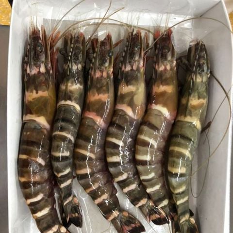  Tôm sú  size khủng 10-12 con/kg - 500g/khay (5-6 con) 