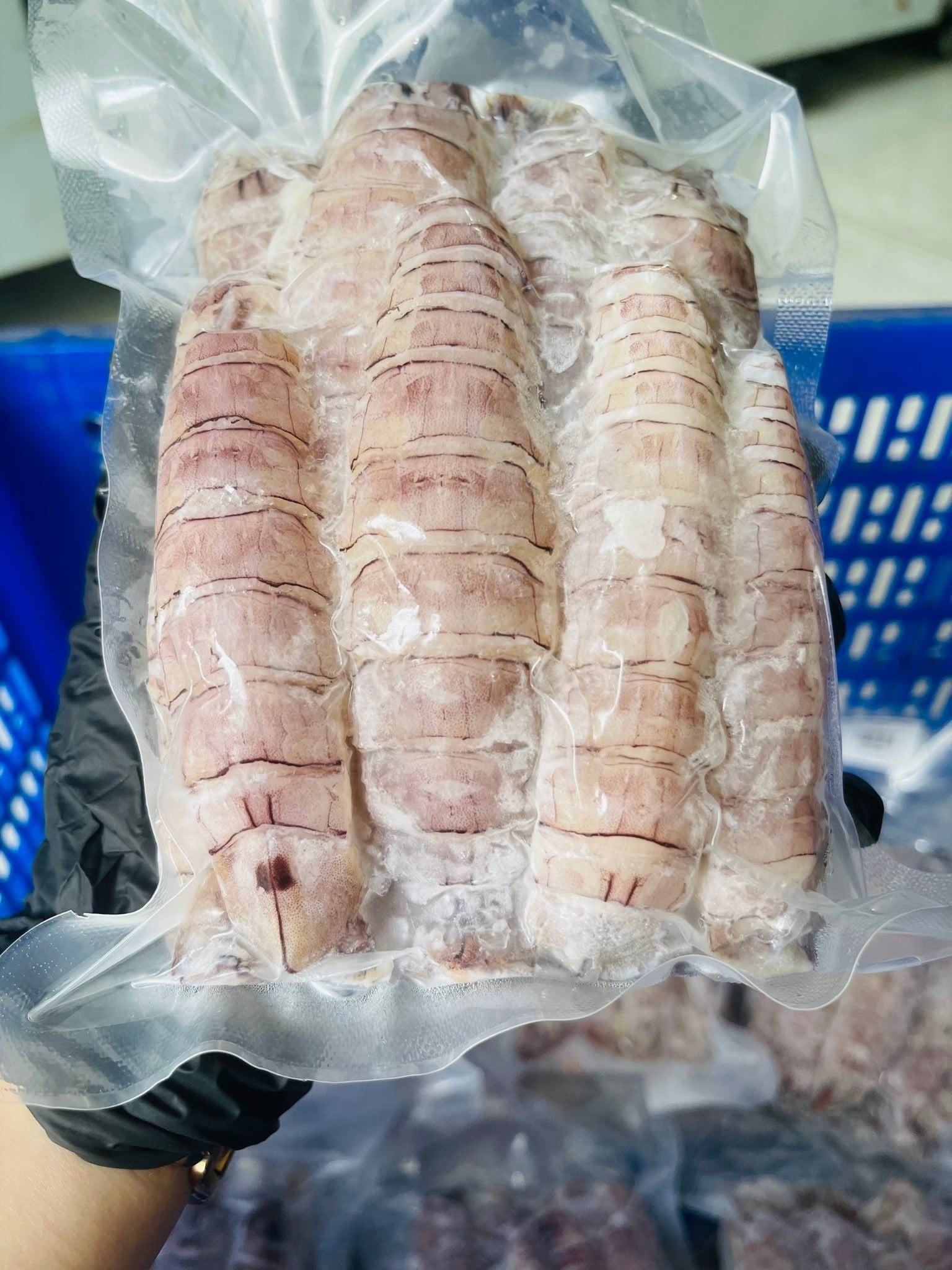  Tôm tít nõn size đại 500g (25-30con) 