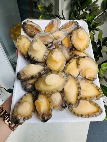  Thịt Bào Ngư - 500gr/túi (22-25c) 