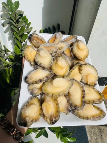  Thịt Bào Ngư - 500gr/túi (22-25c) 
