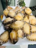  Thịt Bào Ngư - 500gr/túi (22-25c) 
