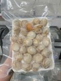  Nõn sò điệp hấp - túi 500g 