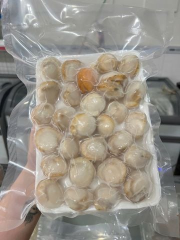  Nõn sò điệp hấp - túi 500g 