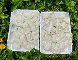 Mực ống làm sạch cắt khoanh - Khay 500g 