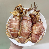 Mực lá câu Phú Quốc sét 2 con/ 950gram-1kg 