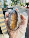  Bào ngư size VIP CỒ - 1kg/túi (6con) 