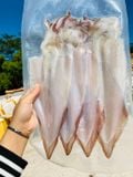  Mực dẻo 2 nắng - 500g/túi ( 3-5 con) 