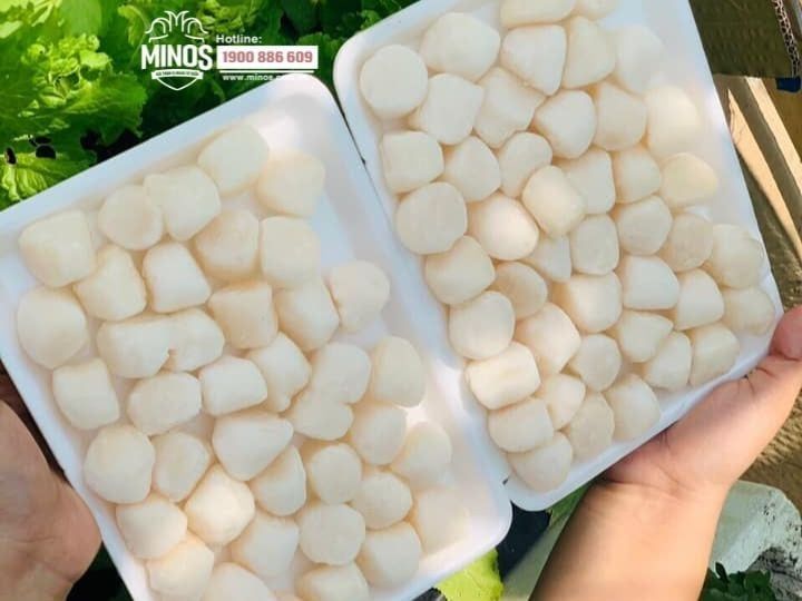  Cồi sò điệp size baby - Khay 500g 