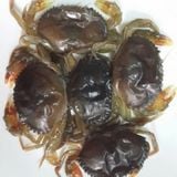  Cua lột  - 400g/túi 