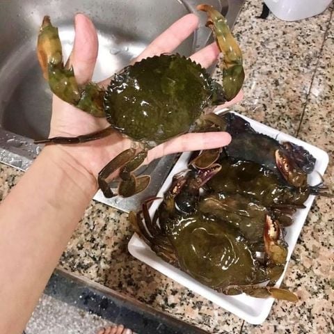Cua lột Cà Mau