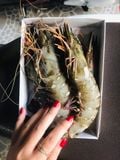  Tôm sú  size khủng 10-12 con/kg - 500g/khay (5-6 con) 