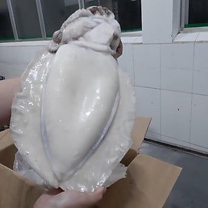  MỰC NANG LÀM SẠCH KHỔNG LỒ  1KG up/con -10g 