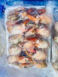  Thịt càng cua SIZE TRUNG (100-120)- 500gr/túi 