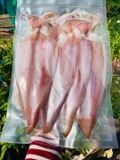  Mực dẻo 2 nắng - 500g/túi ( 3-5 con) 