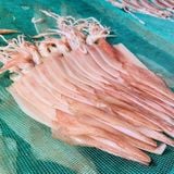  Mực dẻo 2 nắng - 500g/túi ( 3-5 con) 