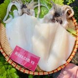  Mực lá 1 nắng size 4-5con/kg 
