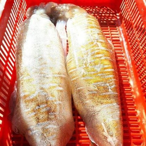Mực lá Phú Quốc