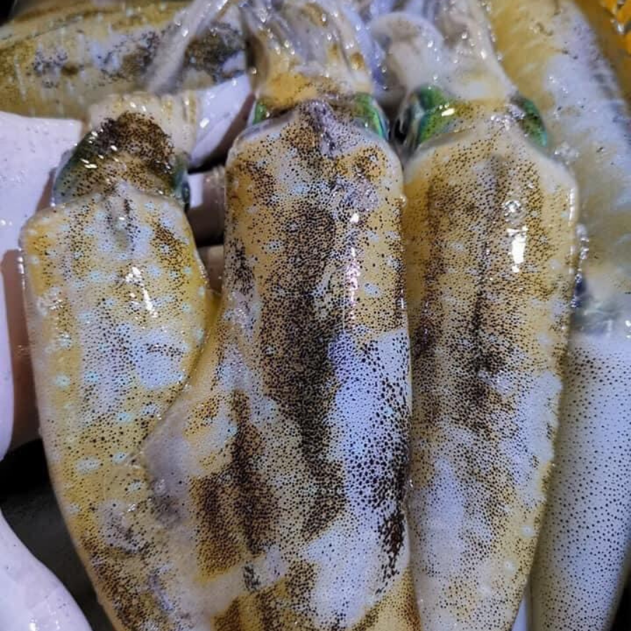  Mực lá câu Phú Quốc sét 2 con/ 950gram-1kg 