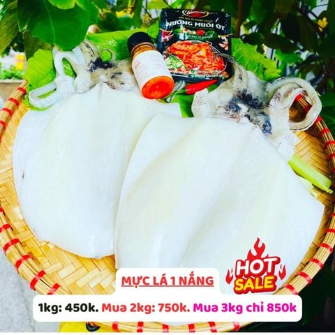  Mực lá 1 nắng size 4-5con/kg 