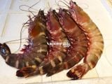  Tôm sú  khổng lồ 8 con/kg - 500g/khay (4 con) 
