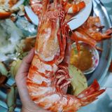  Tôm sú khổng lồ 6 con/kg 
