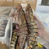  Tôm sú khổng lồ 6 con/kg 