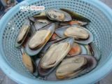  Vẹm xanh nửa mảnh NZ - 1kg/túi 