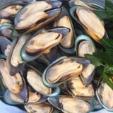  Vẹm xanh nửa mảnh NZ - 1kg/túi 