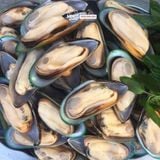  Vẹm xanh nửa mảnh NZ - 1kg/túi 