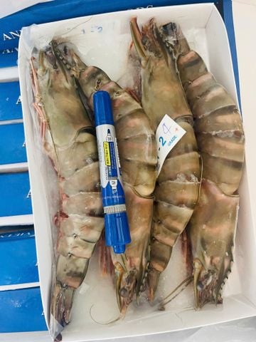  Tôm sú Cụ 4 con/kg 