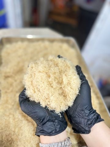  Chà bông ghẹ xanh - hủ 200g 