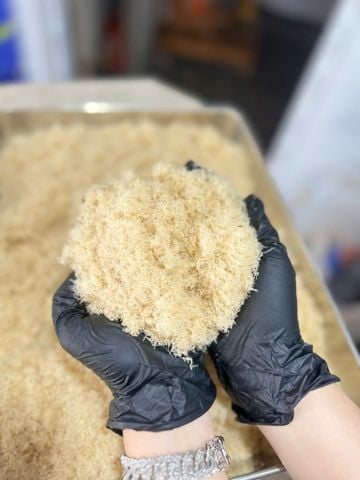  Chà bông ghẹ xanh - hủ 200g 