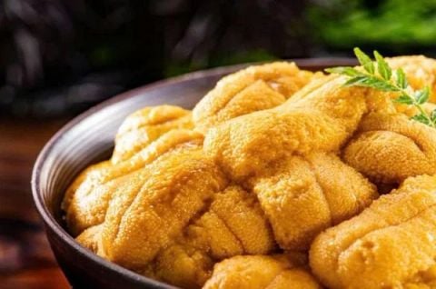  Gạch Nhum Uni Nhật 