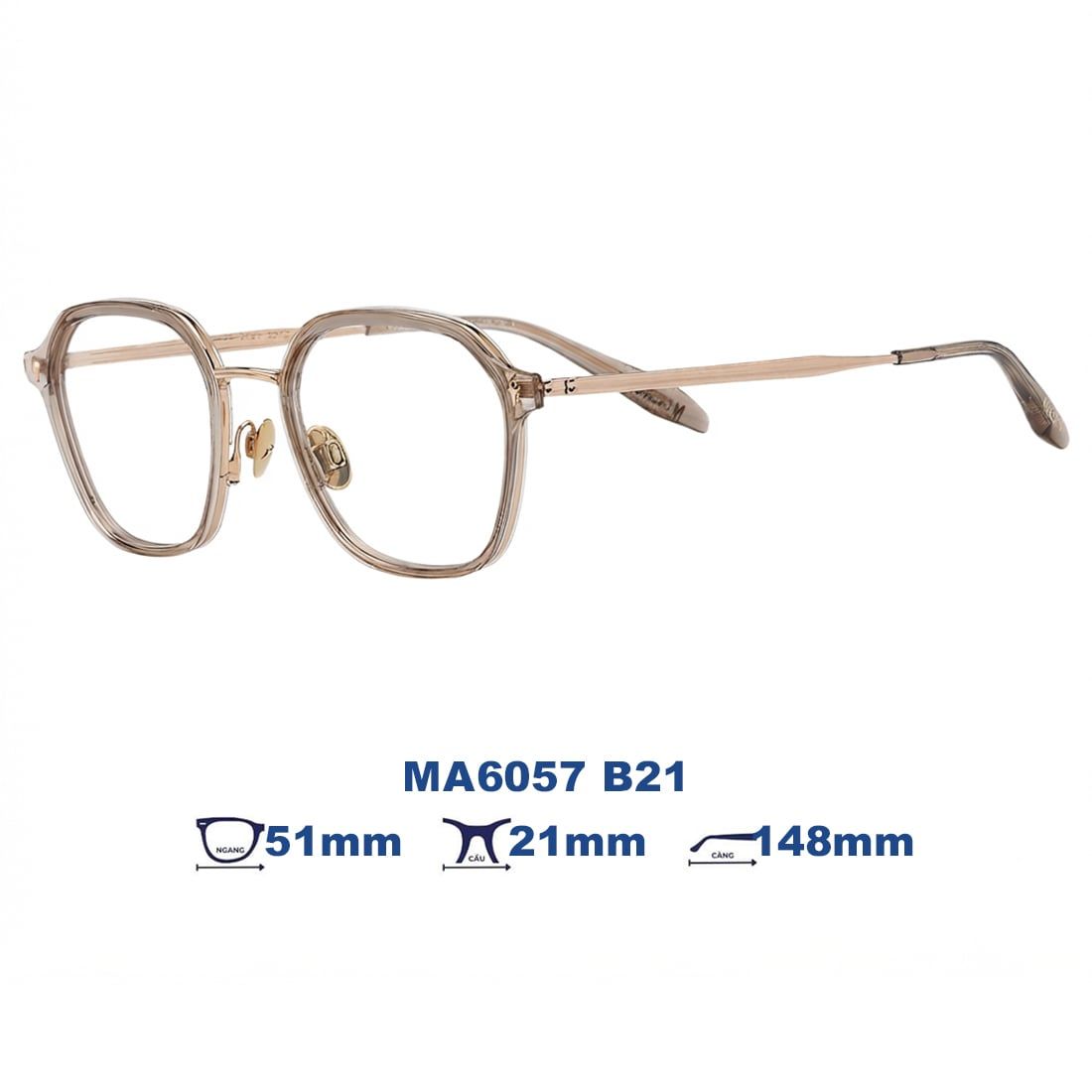 Gọng kính MOLSION MA6057 B21