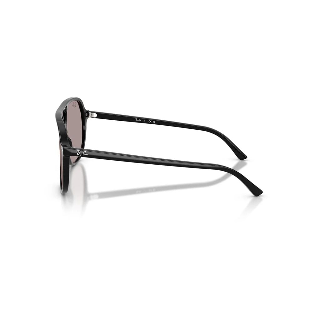 Kính mát Rayban Bill RB2198 901/53 - Đen bóng, tròng tím