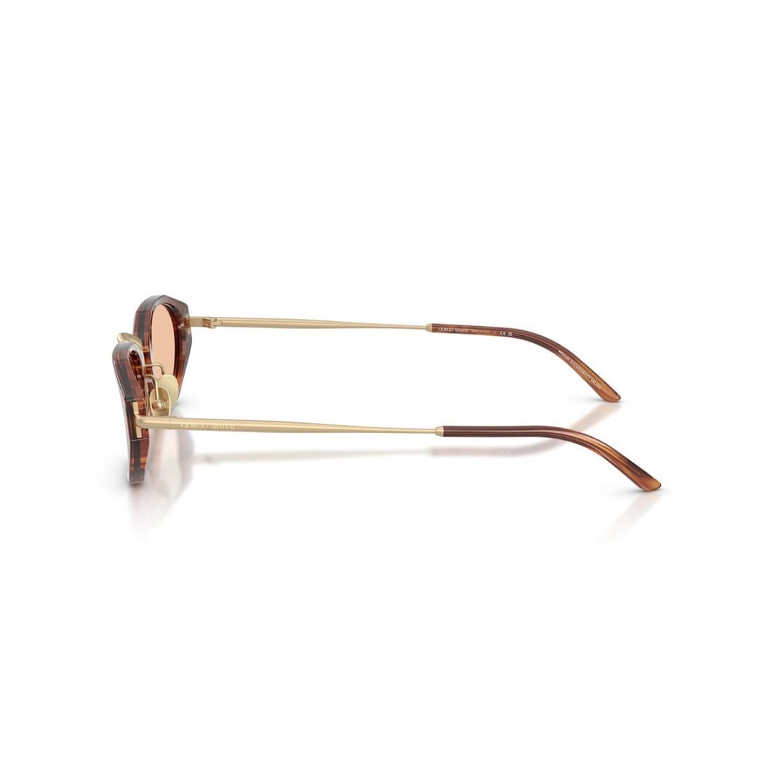  Kính mát Giorgio Armani AR8242 616273 