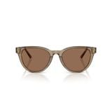 Kính mát Jimmy Choo JC5043D 5051/73 - Nâu