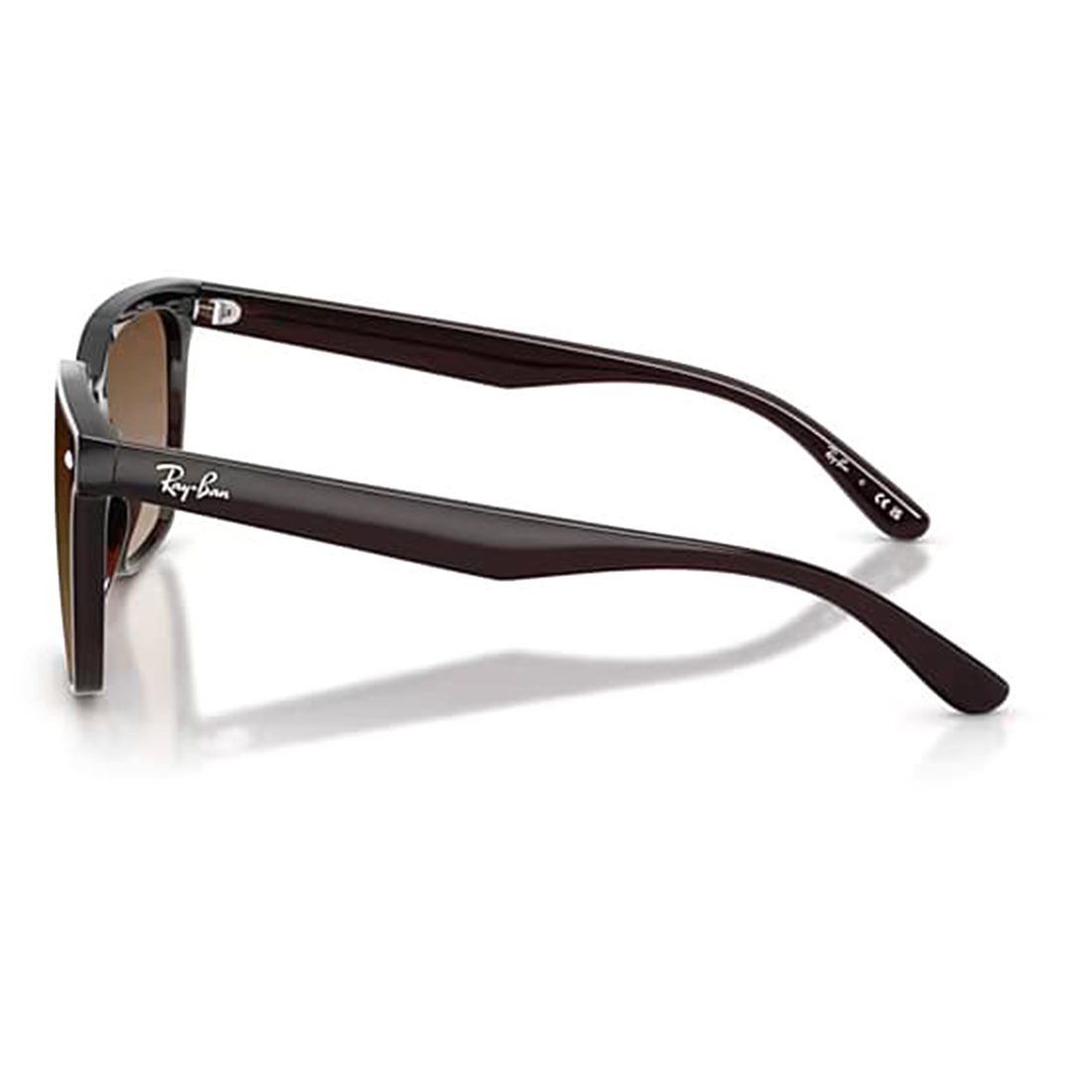 Kính mát RAYBAN RB4466D 714/13