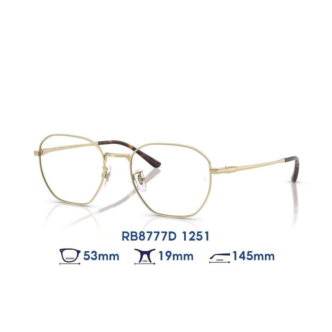  Gọng kính RAYBAN RB8777D 1251 